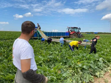Un tilquois en finale d’un concours agricole !