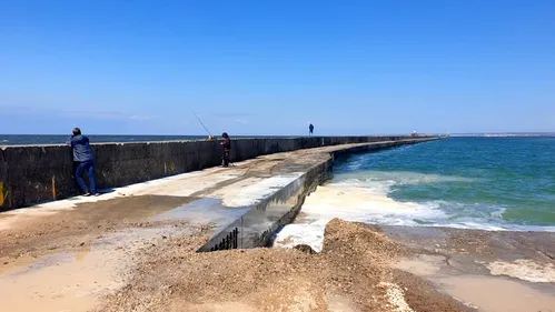 Les pêcheurs à pied mobilisés pour la sécurisation de la digue Carnot