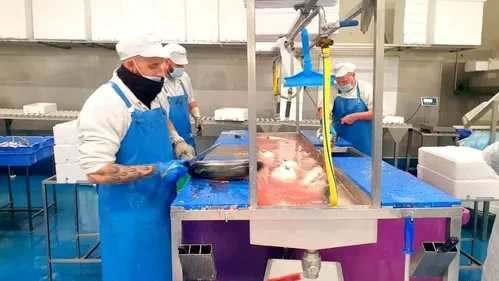 Le taux de chômage continue de baisser dans le Boulonnais et...