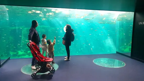 Nausicaà à petit prix, c'est à partir d'aujourd'hui !