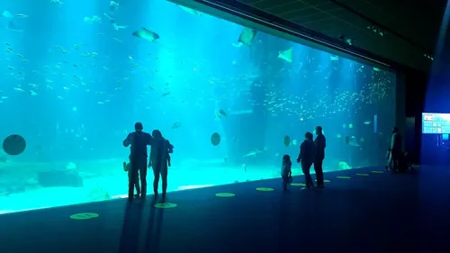 Des concerts, du théâtre et des repas à Nausicaà ? C'est la...
