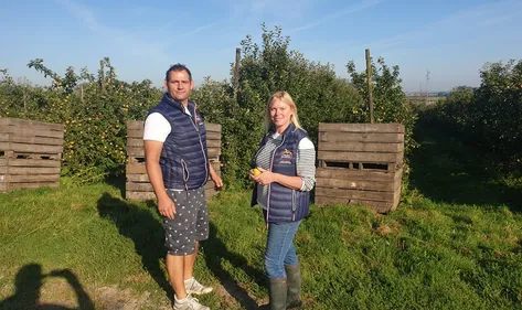 Des récoltes très moyenne pour les producteurs de fruits Nordistes