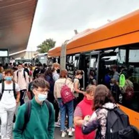 50 millions de voyages dans le bus gratuit