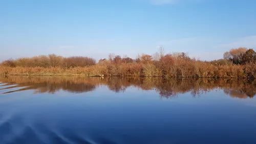 Bientôt un arrêté préfectoral pour protéger le marais audomarois
