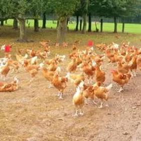 Le Département placé en zone de contrôle temporaire face à...