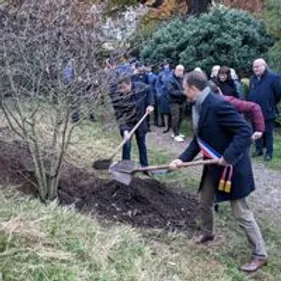 Un arbre planté au jardin public pour le jubilé de la Reine...