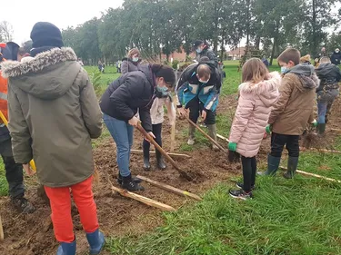 Reboise ta Flandre : le nouveau dispositif qui s’engage pour la...