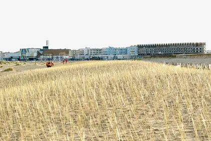 Nouvelle opération de réensablement digue des Alliés