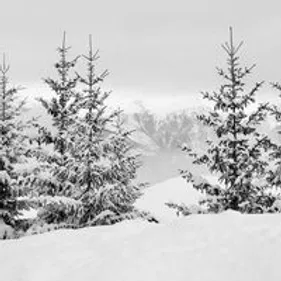 Les enfants gravelinois en classe de neige à Entremont, c'est fini