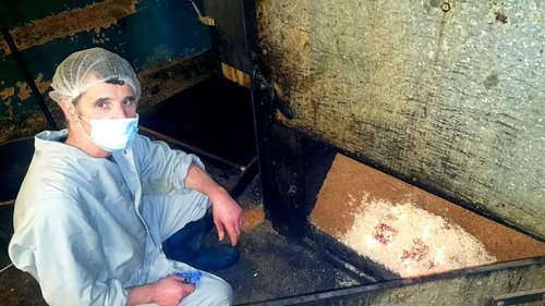 Mao, l'homme qui joue avec le feu et le vent pour vous régaler à Noël