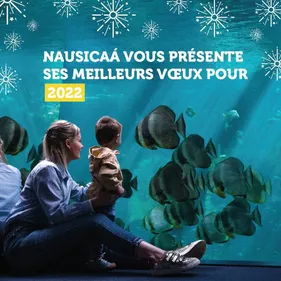 1 vue = 1 don : les voeux solidaires de Nausicaá