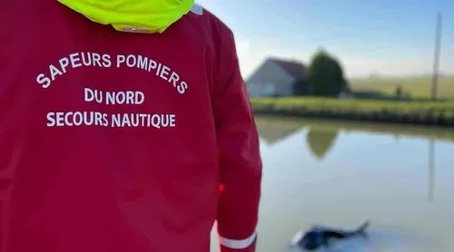 Une voiture tombe dans le canal : deux personnes en urgence absolue