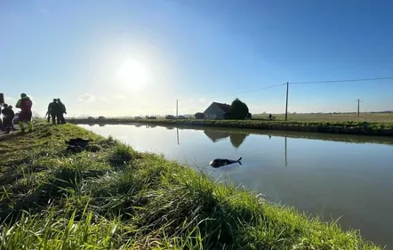 Voiture dans le canal : une deuxième jeune femme de 19 ans est décédée