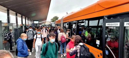 Une nouvelle ligne chrono, une C4 vers Gravelines, du transport à...