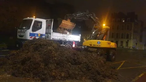 Les Jeunes Agriculteurs déversent du fumier devant la sous-préfecture