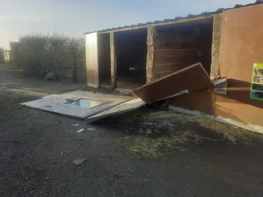 Deux wallabies ont disparu d'une ferme pédagogique après la tempête