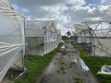 L'appel à l'aide de "La cueillette de Hoymille" après les tempêtes