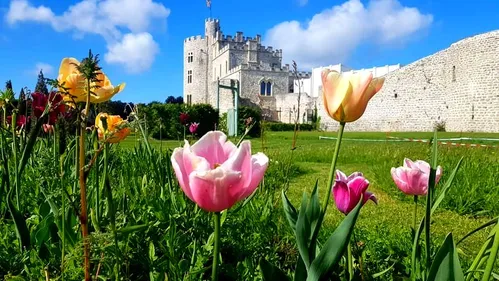 Condette: profitez des longues soirées d'été au Midsummer Festival...