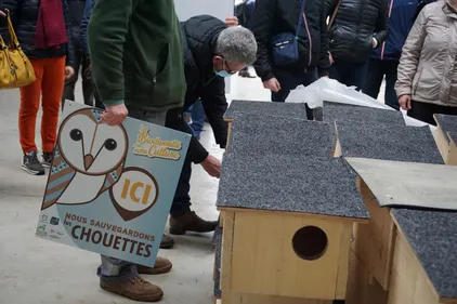 Des nichoirs pour sauver les chouettes et hirondelles Nordistes