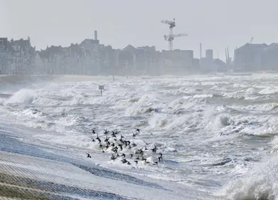 La ville ferme la digue à Malo pour les piétons