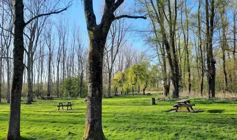 Evitez de vous balader en forêt ce week-end, conséquence évidemment...