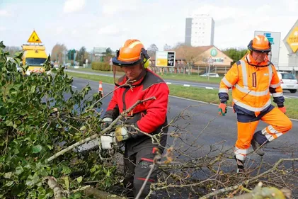 Suite des tempêtes, des espaces verts du Nord doivent encore être...