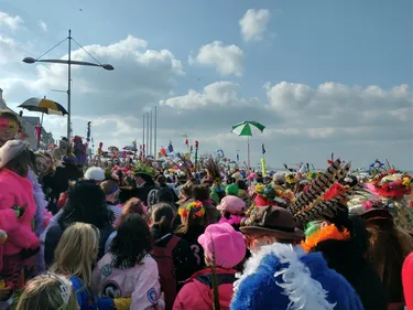 Des milliers de masquelours au rendez-vous sur la digue de Malo !