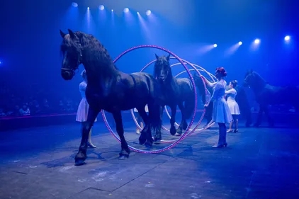 Derniers jours pour profiter de la magie du cirque Gruss