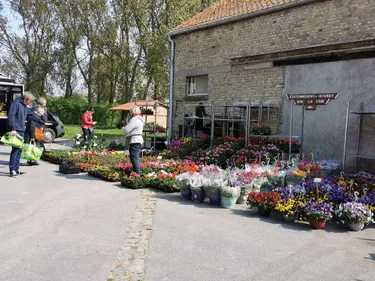 Légumes, fleurs… il est temps de penser à vos aménagements et cultures