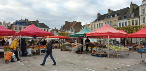 Dernières heures pour faire du marché de Saint-Omer le plus beau de...