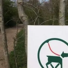 N’oubliez pas d’attacher votre chien quand vous vous baladez dans...