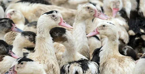 Plusieurs communes du Nord toujours sous surveillance face à la...