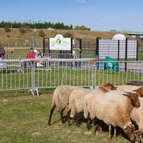 Un week-end à la découverte du Beauceron