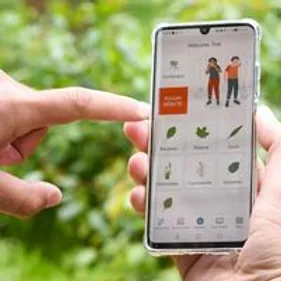 Alerte rouge pour les allergiques aux pollens