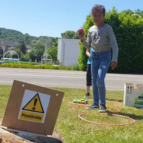 Saint-Léonard: des jeux autour du rôle de l'abeille pour...