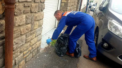 Grippe aviaire: Opale Capture constate "une surmortalité des...