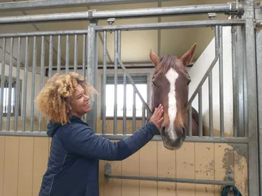 A Uxem, les chevaux comme thérapie