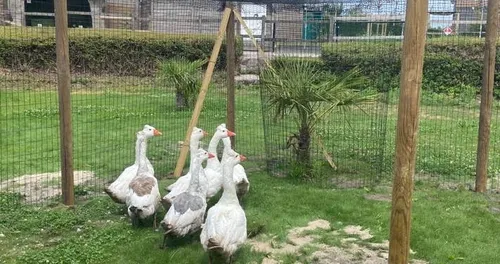 Grosse bouffée d’air frais pour Bio-Topia.