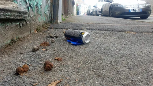 Un groupe Facebook et une pétition réclament une ville plus propre