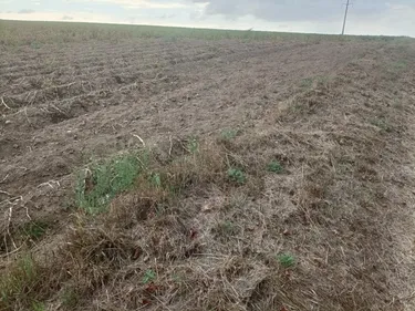 Un agriculteur se fait voler 500 kilos de pommes de terre
