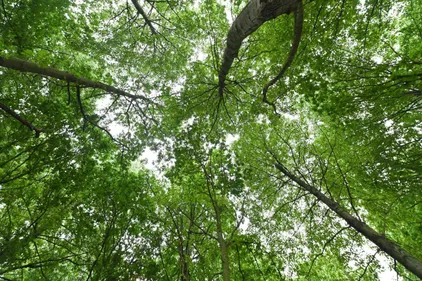 La CUD veut créer des poumons verts sur le territoire