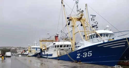 La senne démersale ne sera finalement pas interdite...