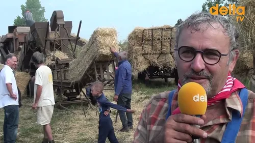 Battage du blé à l'ancienne
