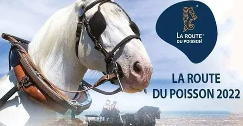 La route du poisson est de retour ce week-end, 10 ans après sa...