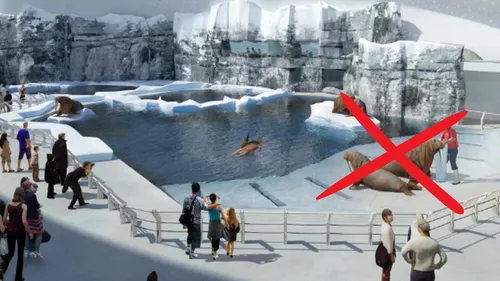 Nausicaà va encore s'agrandir avec une zone sur le Grand Nord, mais...