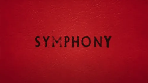IMAGINE DRAGONS - Symphony