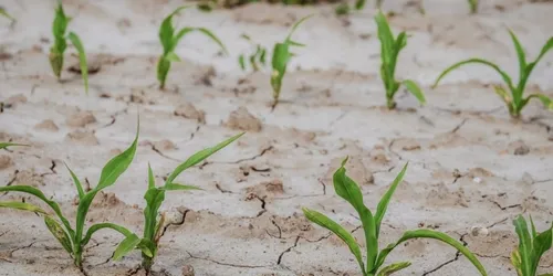 Sécheresse : fin des mesures de restriction