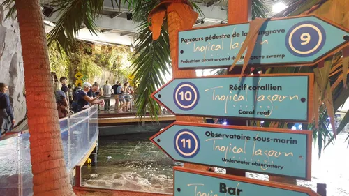 Nausicaà ferme son lagon tropical le 7 novembre, réouverture prévue...