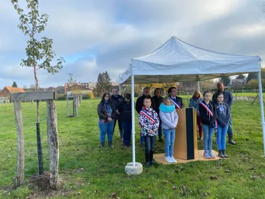 Plus de 700 arbres et arbustes plantés en deux ans