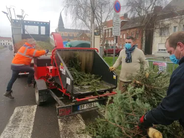 Saint-Omer vient de lancer sa grande collecte de sapins de Noël